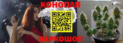 ALPHA PVP Севастополь