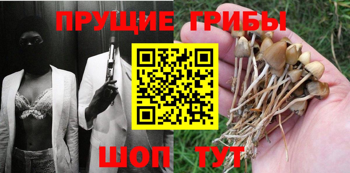 Псилоцибиновые грибы GOLDEN TEACHER  Галлюциногенные грибы GOLDEN TEACHER  где купить наркоту  Вход с VPN  Партизанск 
