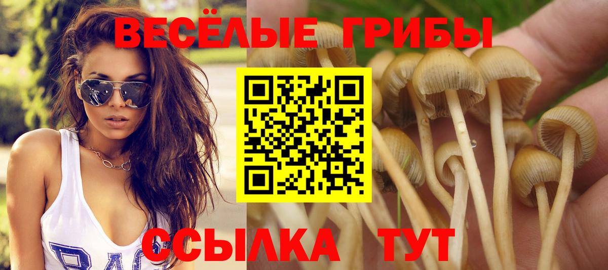 Псилоцибиновые грибы Magic Shrooms Партизанск